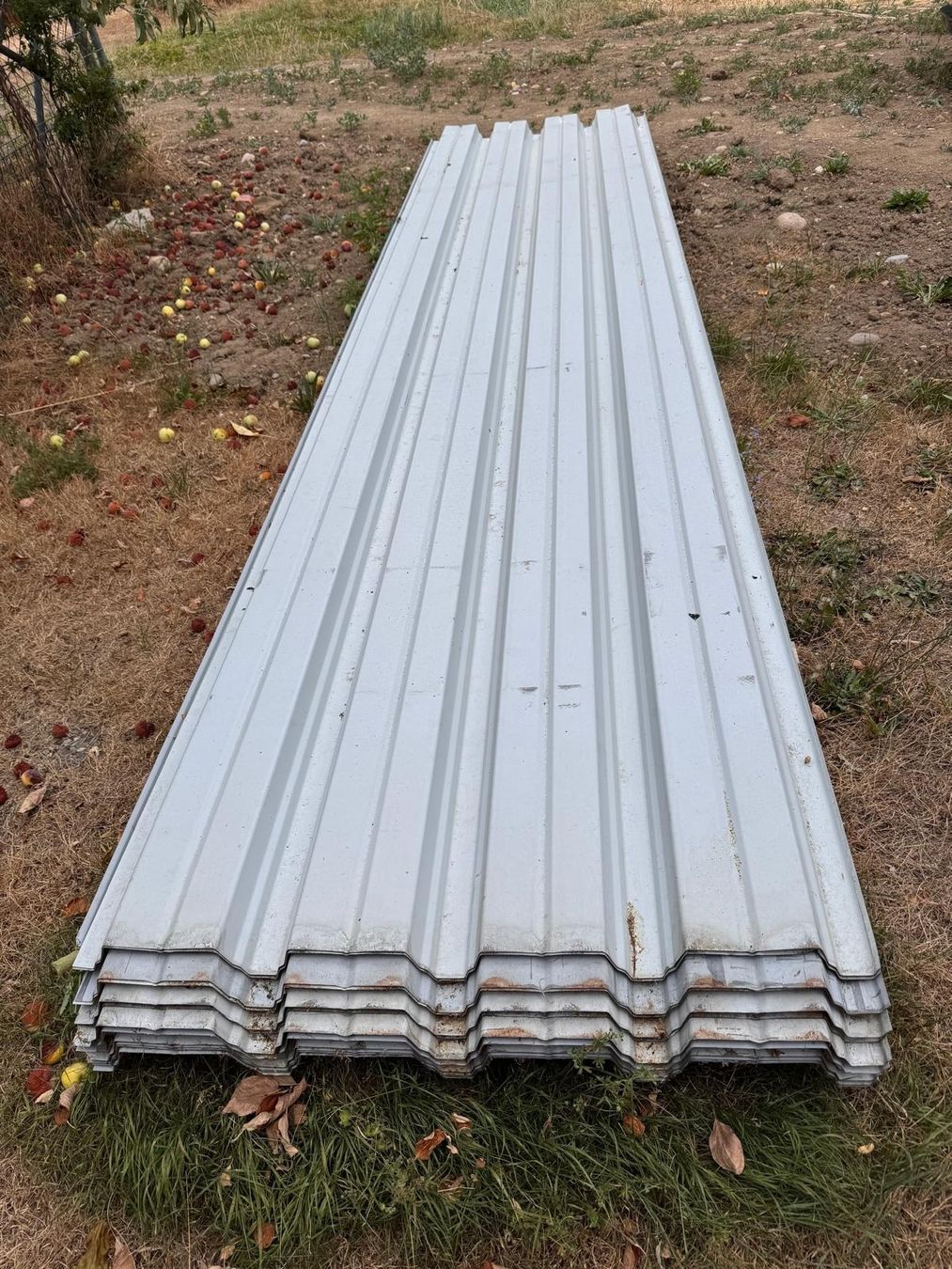 Sonstige Baumaterialien: Wellblech Platten – Gebraucht aus Dulliken von Wildolivetree