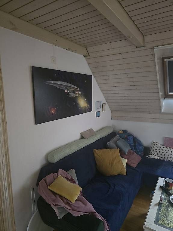 Foto & Immagini: Enterprise D  – Usato da Hornussen venduto da Shanti1986 2