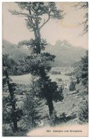 Campfer und Silvaplana, gelaufen 1927