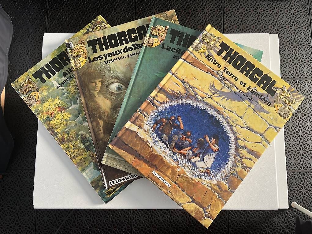 Fumetti: Lot de 4 BDs de Thorgal – Usato da Morges venduto da par_f5md