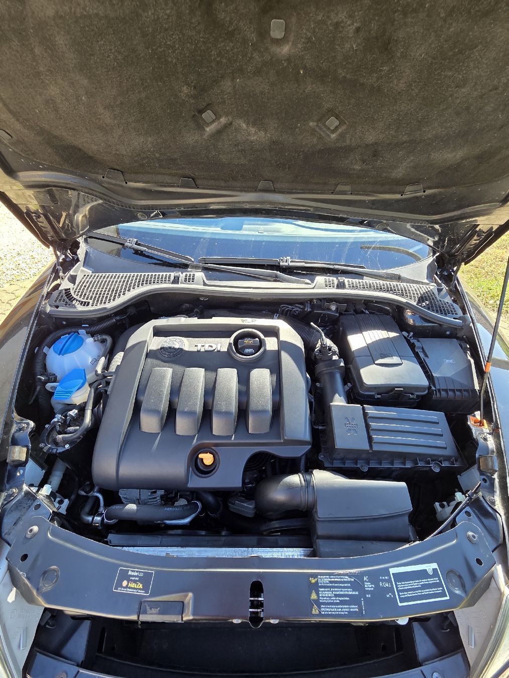 Skoda Autos: Skoda Octavia 1.9 TDI 4x4 – D'occasion à Rümikon AG par Leontin36 5