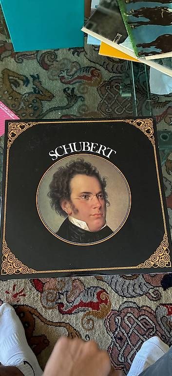 Schallplatten: Album deux disques Shubert – Gebraucht aus Le Grand-Saconnex von aur_27hl