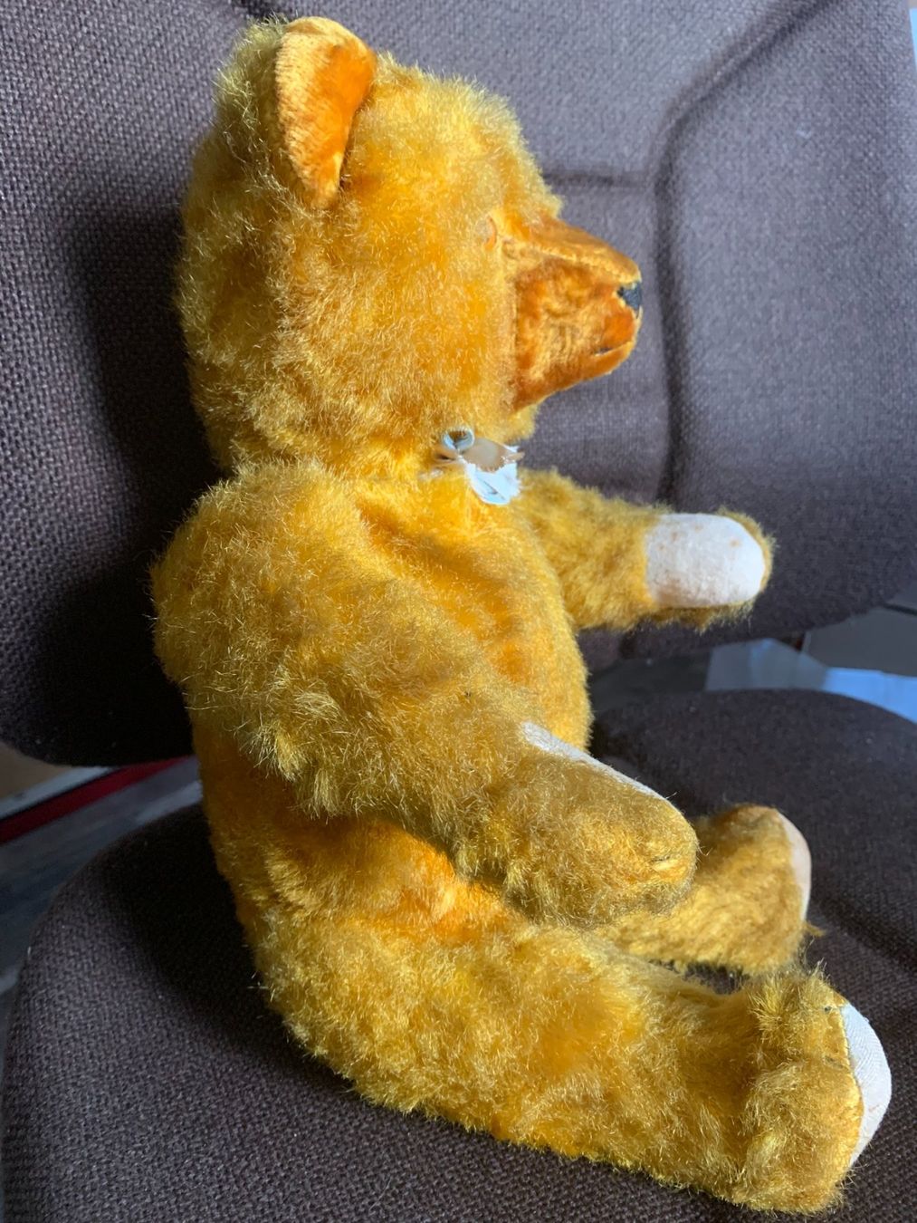 Welt der Tiere: Antiker Teddybär – Gebraucht aus Gundetswil von Egro01 3