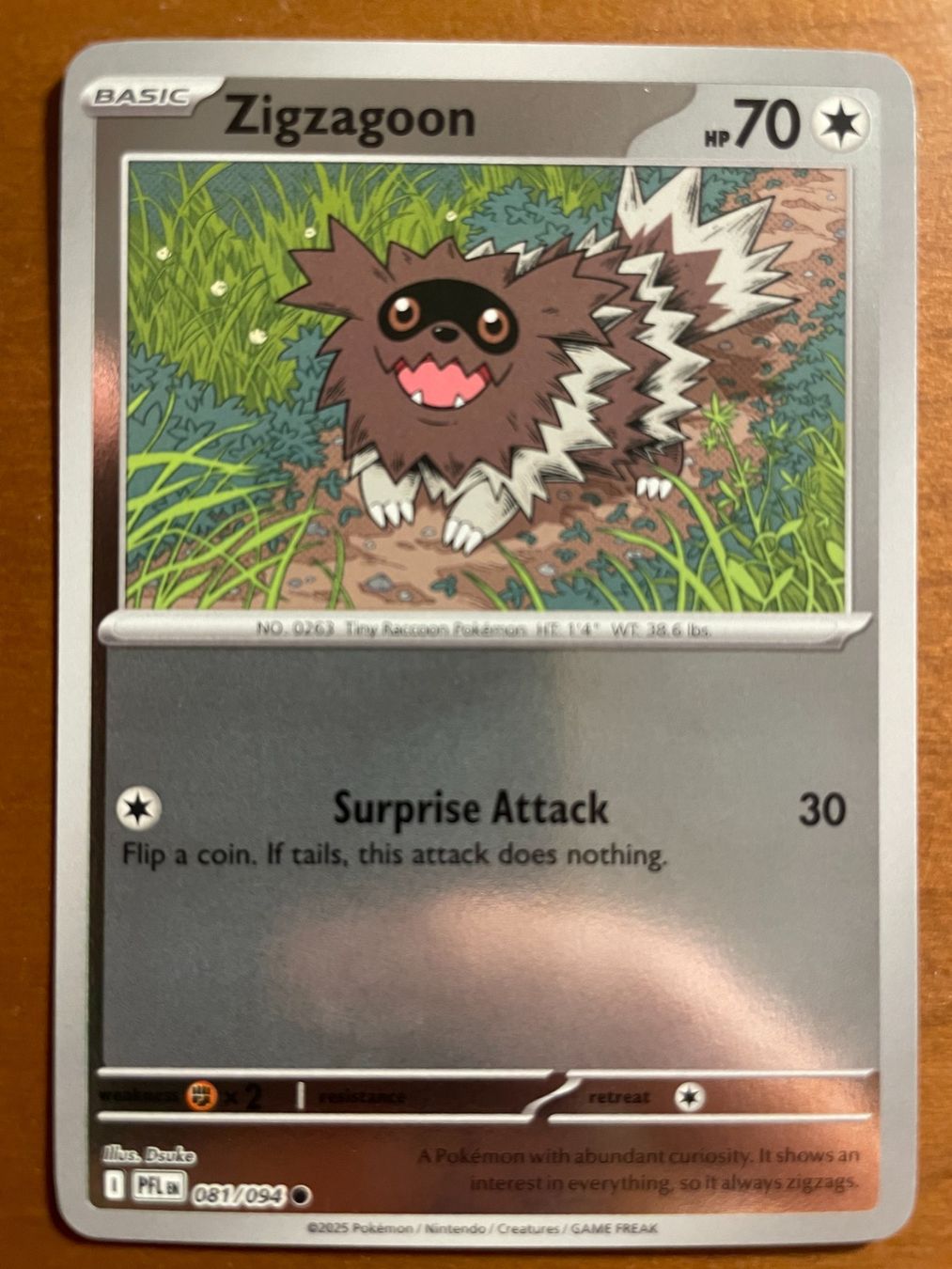 Pokémon Carte collezionabili: Pokemon Zigzagoon Reverse (Versand gratis) – Nuovo (secondo la descrizione) da Chur venduto da Angerson