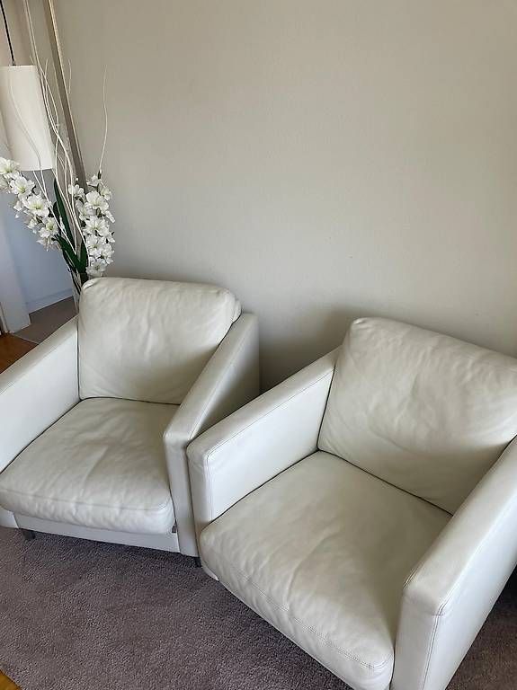 Sessel: 2 Leder Sessel, Classics by Pfister – Gebraucht aus Dietlikon von 11rs