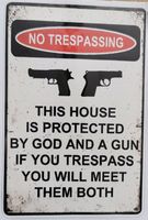 NO TRESPASSING - PISTOLEN (Aufkleber, gross)