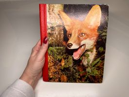 BUCH: Die schönsten Tiergeschichten der Welt Band 1