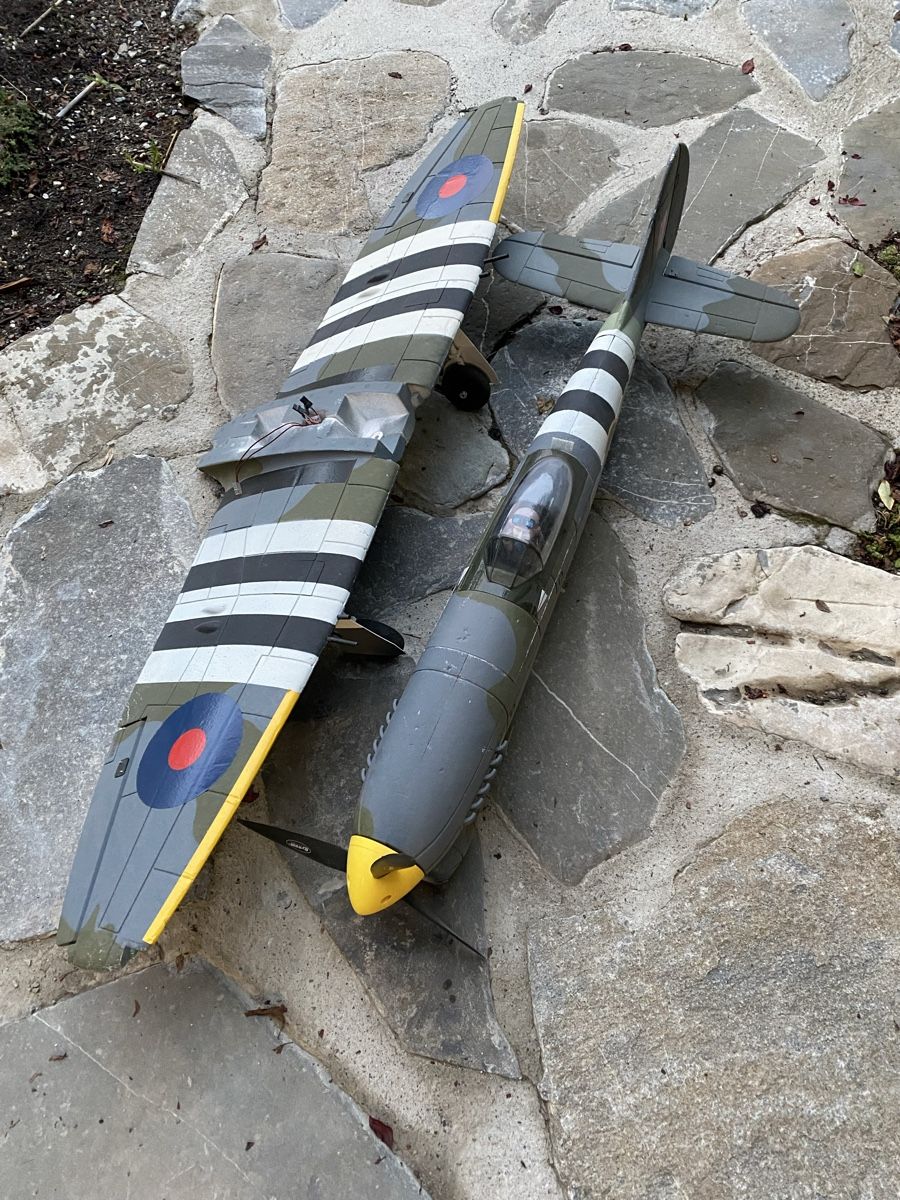 Modellismo RC: Waitbird – Usato da Saanen venduto da Chrigels89