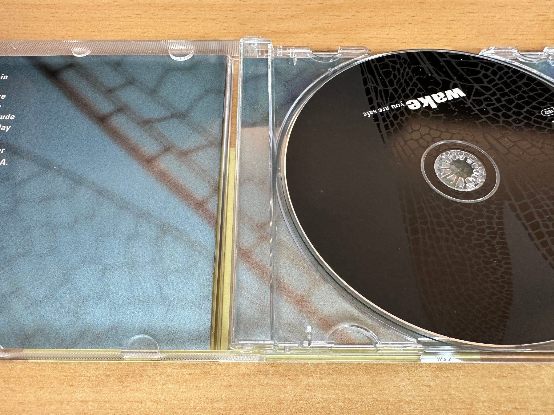 CD: Wake – You Are Safe – Usato da Rikon im Tösstal venduto da Alpenmutz 2