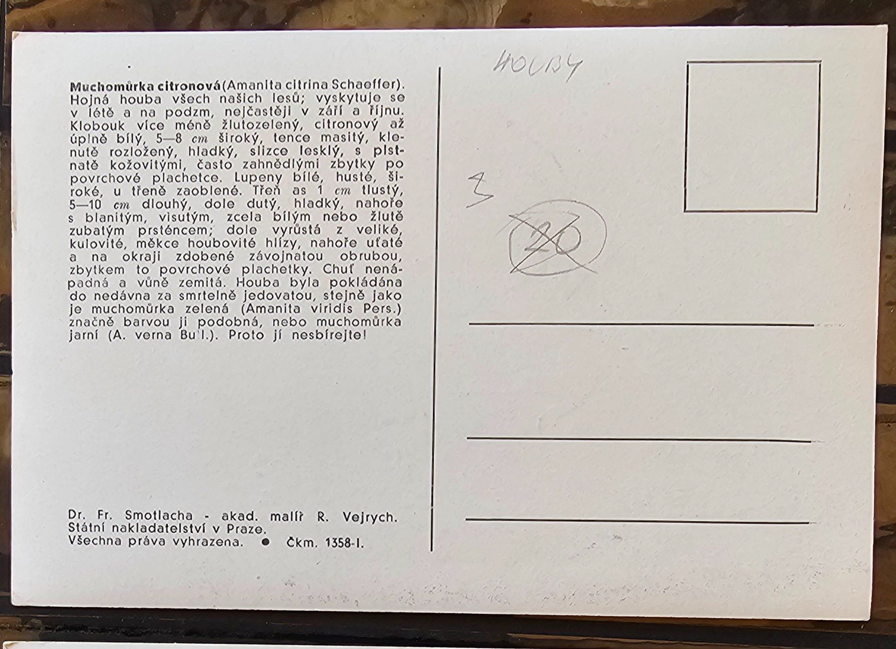 Cartoline postali: 2 Postkarten - Motive Pilze – Nuovo (secondo la descrizione) da Les Valettes venduto da Nuba1 2