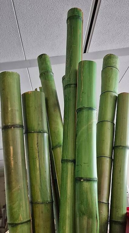 Holzartikel: Bambus Rohre 45 Stk à  2m – Gebraucht aus Zürich von tppx