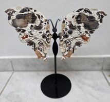 Money Agate Schmetterling