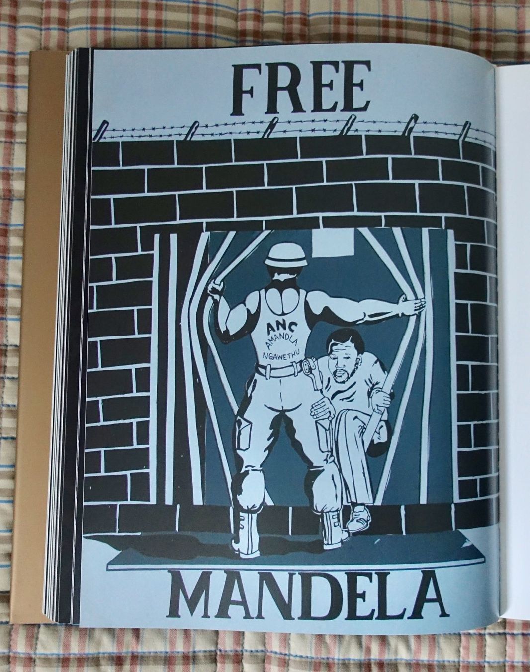 Libri: Livre sur Mandela – Nuovo (secondo la descrizione) da Genève venduto da flocon06 1