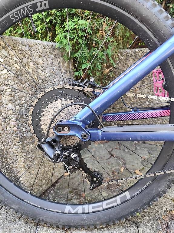 Canyon Biciclette: MTB Canyon Spectral WMN AL 8.0 EX – Usato da Sachseln venduto da jas_ch 3