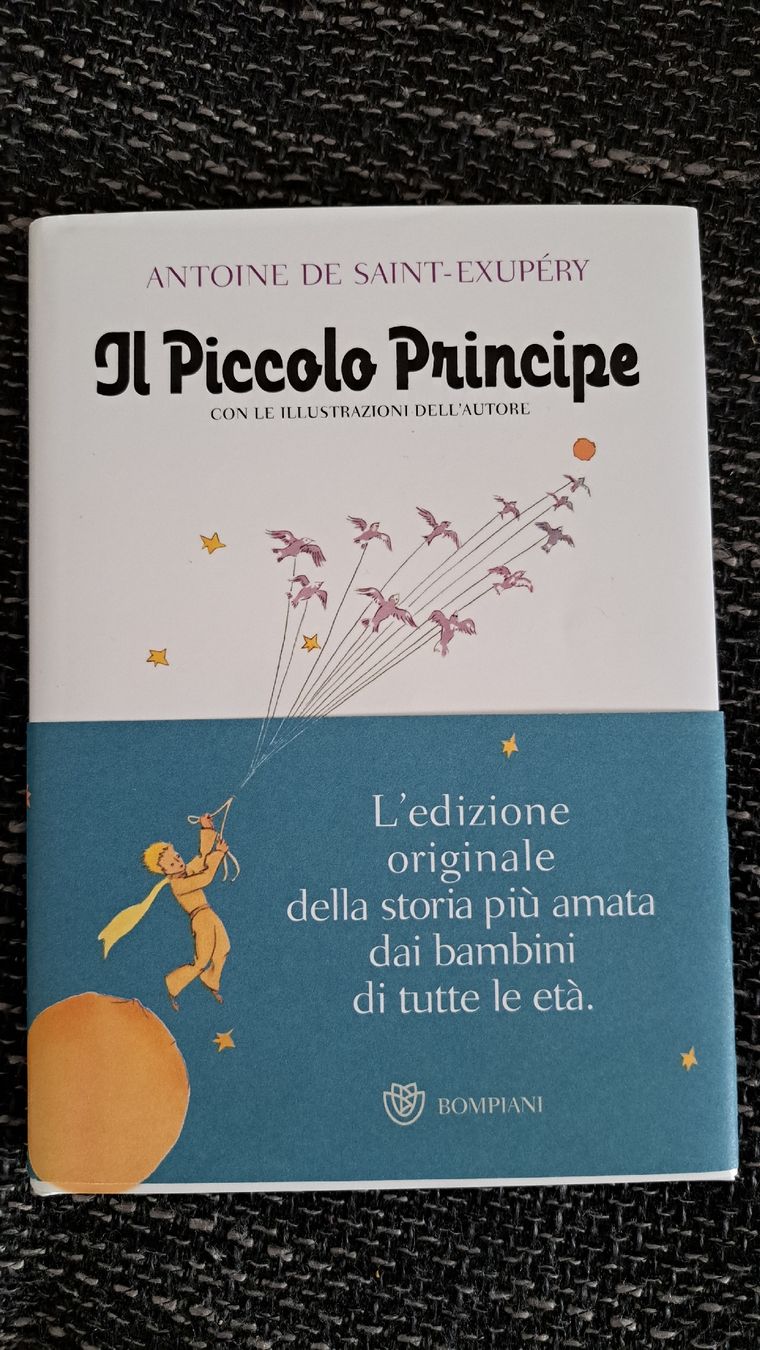 Libri: Il Piccolo Principe – Nuovo e nell'imballaggio originale da Luzern venduto da pumi24