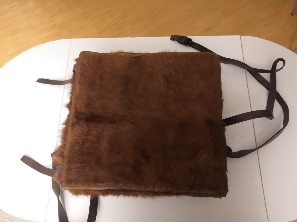 AFFE Militär Rucksack Tornister (Gebraucht) in Goldach für CHF 40 – nur ...