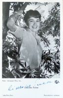 Liselotte Pulver (1929) Schauspielerin - sign. Foto