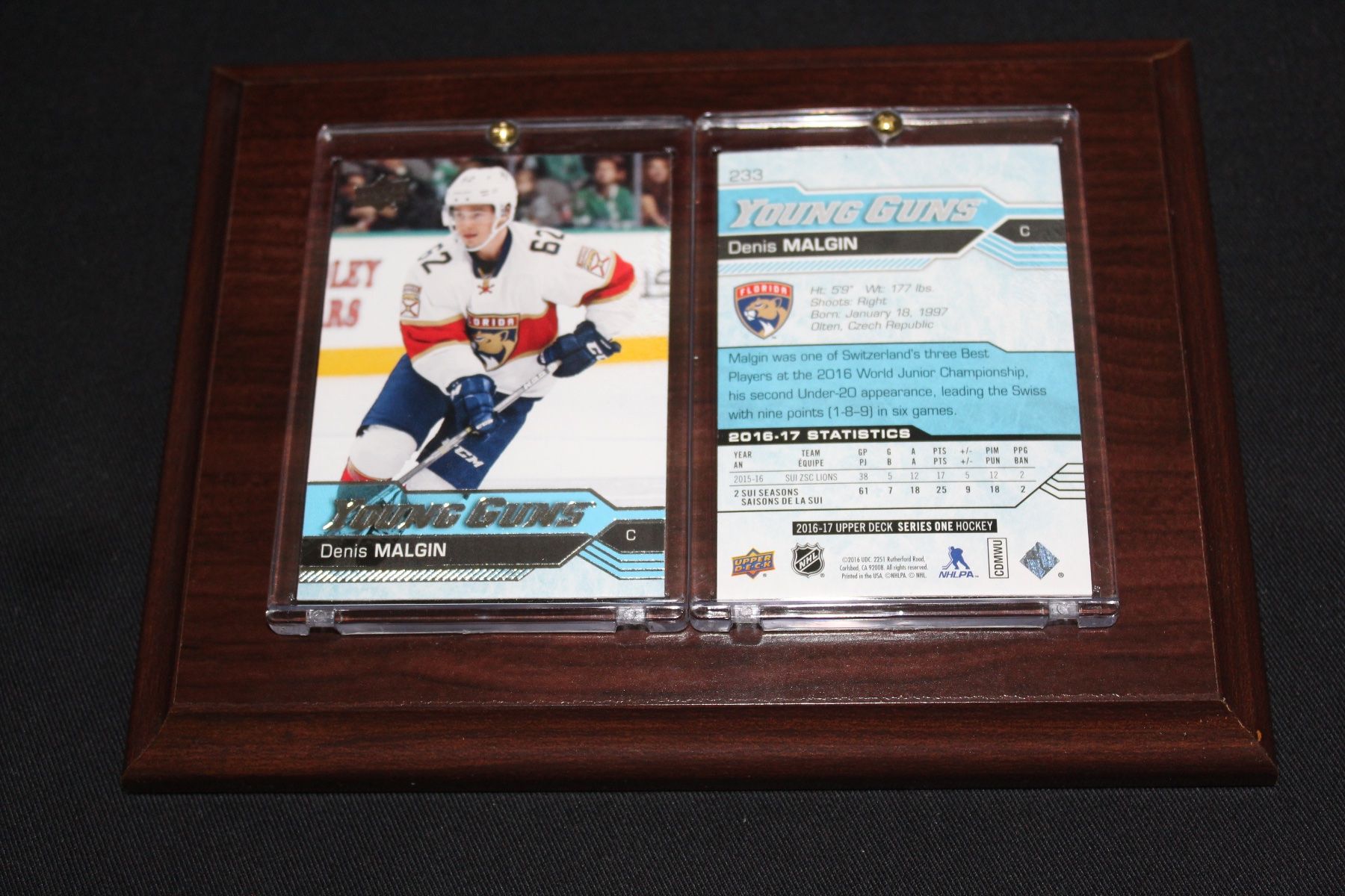 NHL Carte collezionabili: NHL Denis Malgin Florida Panthers – Nuovo e nell'imballaggio originale da Reinach BL venduto da RetroGamesSportsMore
