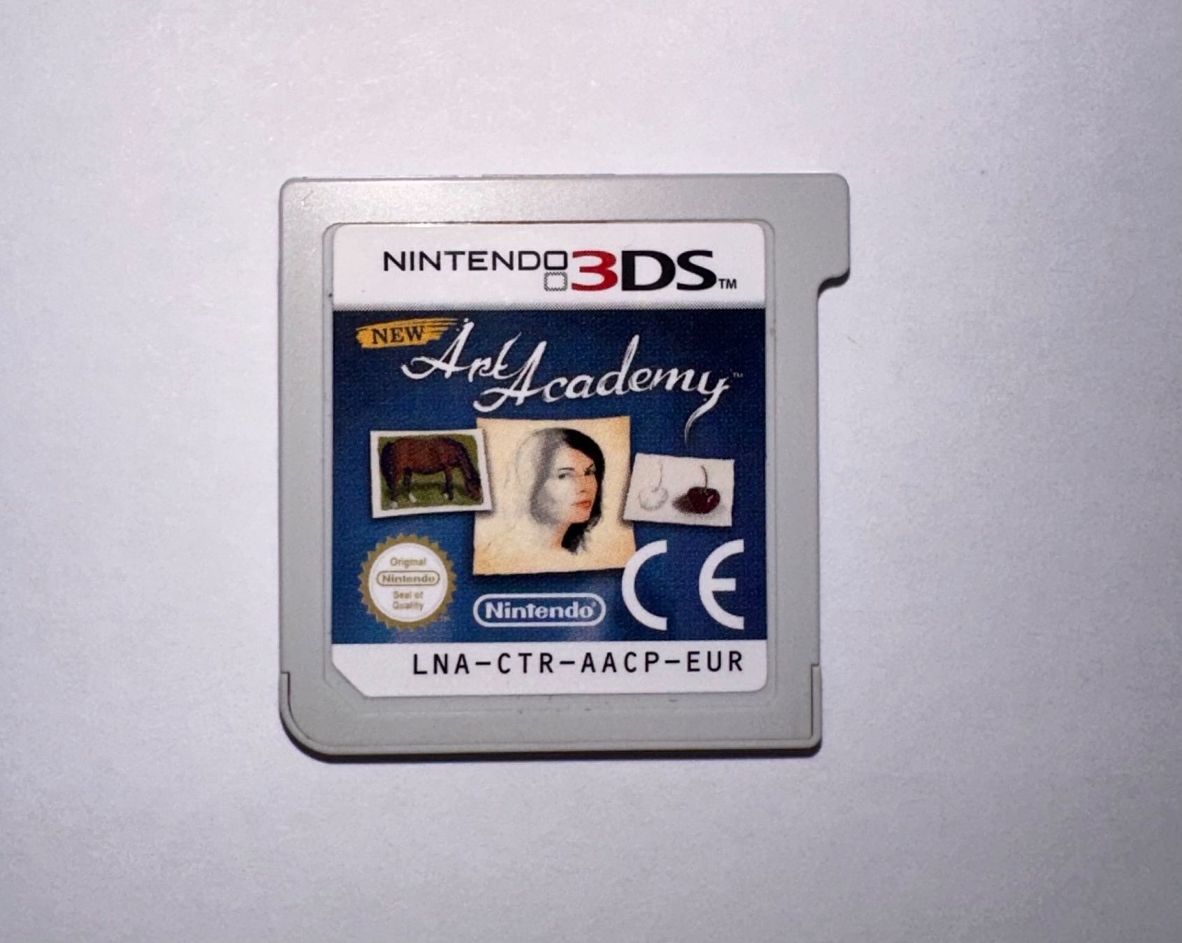 Nintendo Giochi: Nintendo 3DS - New Art Academy – Usato da Biel/Bienne venduto da noarech.