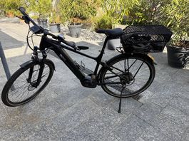 E-Bike / Elektrovelo Cresta