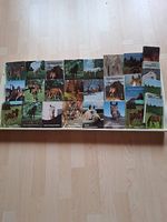 Pferdegeschichten