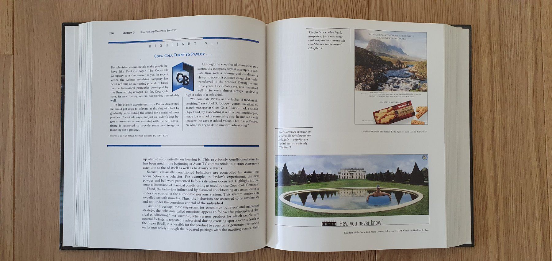 Libri: Consumer Behavior & Marketing Strategy – Usato da Rothenburg venduto da Ajax111 2