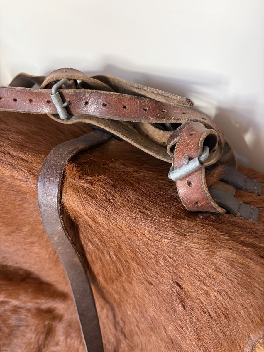 Sacs à dos: VINTAGE LEDERRUCKSACK AUS FELL – D'occasion à St. Gallen par Debi. 4