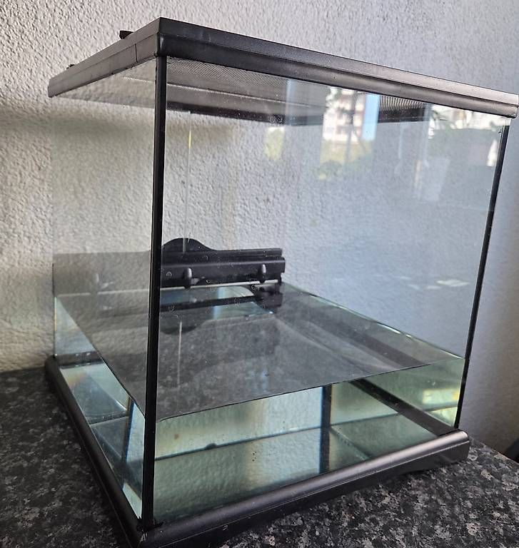Terrario: Mini Terrarium/Aquarium – Usato da Zürich venduto da Ste87R 1