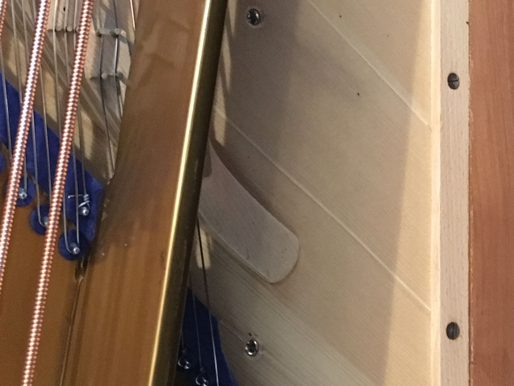 Strumenti musicali: C.Bechstein Konzertflügel, Grösse C, - revidiert - – Usato da Zürich venduto da Leandro068 8