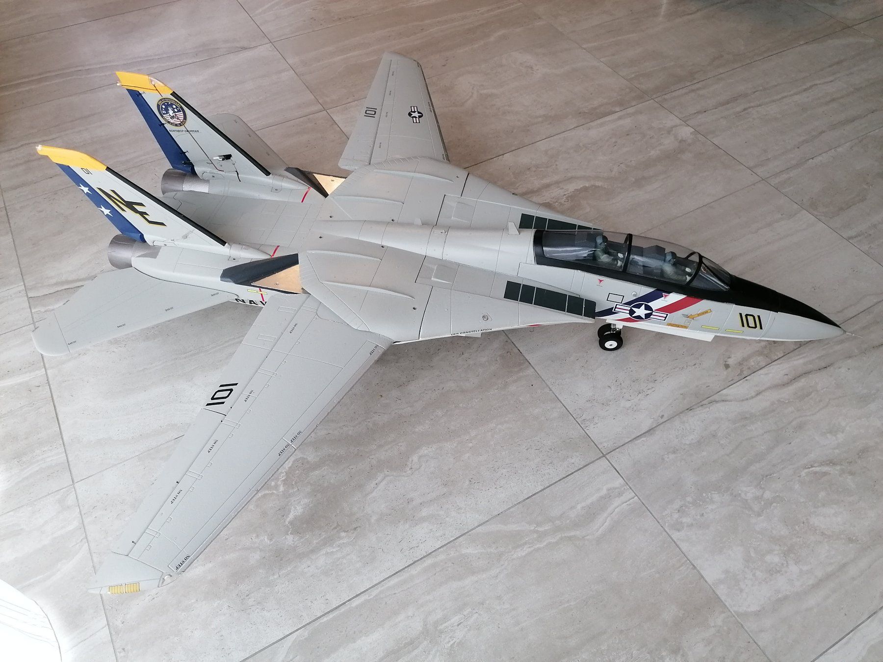 RC Modellbau: Freewing F14 Tomcat – Gebraucht aus Rorschacherberg von