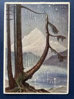 Vintage Postkarte mit Harfenbaum K. Kühnle, Bergmotiv, 1940