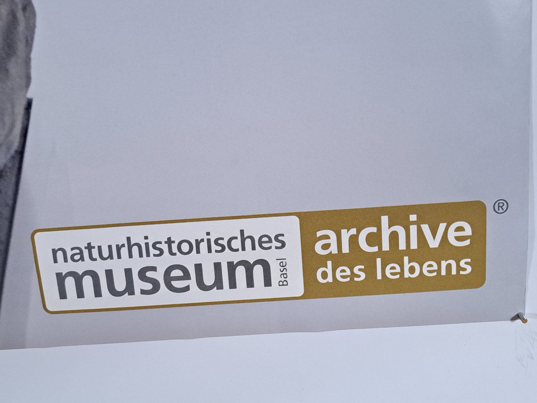 Poster & Bilder: Plakat - Basel - nmbs - Archive des Lebens - 2011 – Neu (gemäss Beschreibung) aus Zwingen von Tigertimmi 1