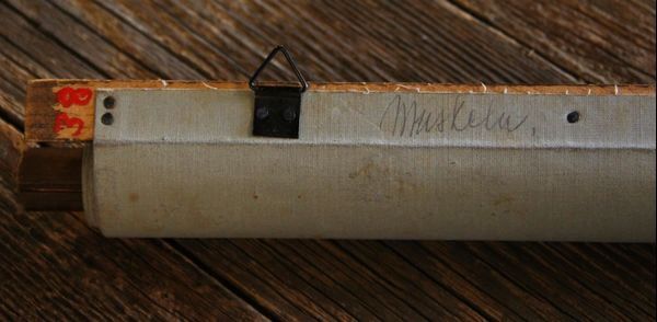 Foto & Immagini: Schulwandbild "Muskulatur" – Usato da Birrwil venduto da brandschatz_birrwil 7