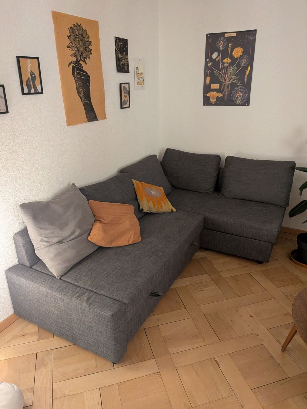 Ikea Sofas: Sofa Ikea Friheten – Gebraucht aus Zürich von eva_jsj9