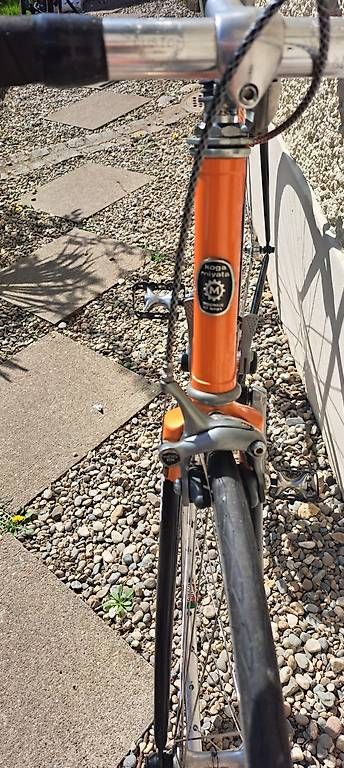 Biciclette: Koga Myata – Usato da Bülach venduto da gonzo62 2