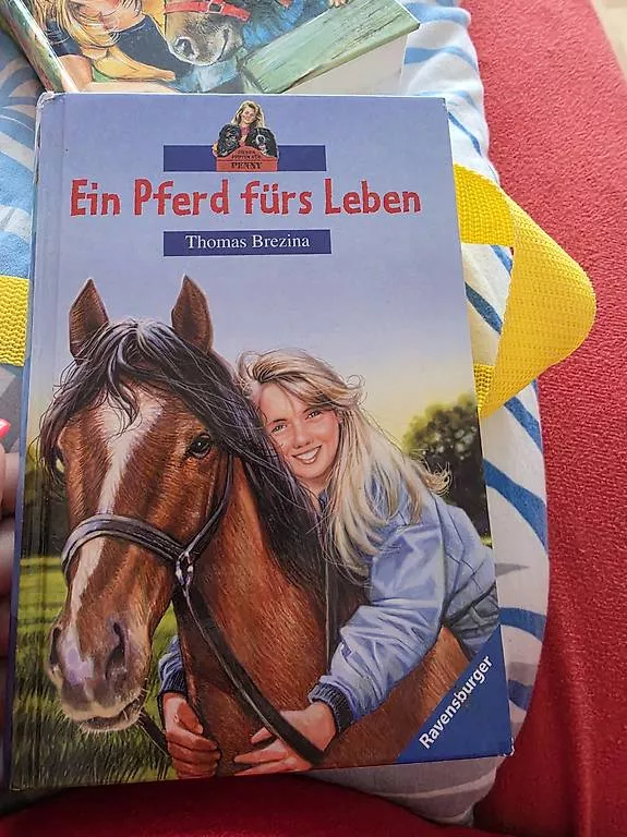 Libri: Bücher divers 2 – Usato da Safenwil venduto da Brumanu01 1