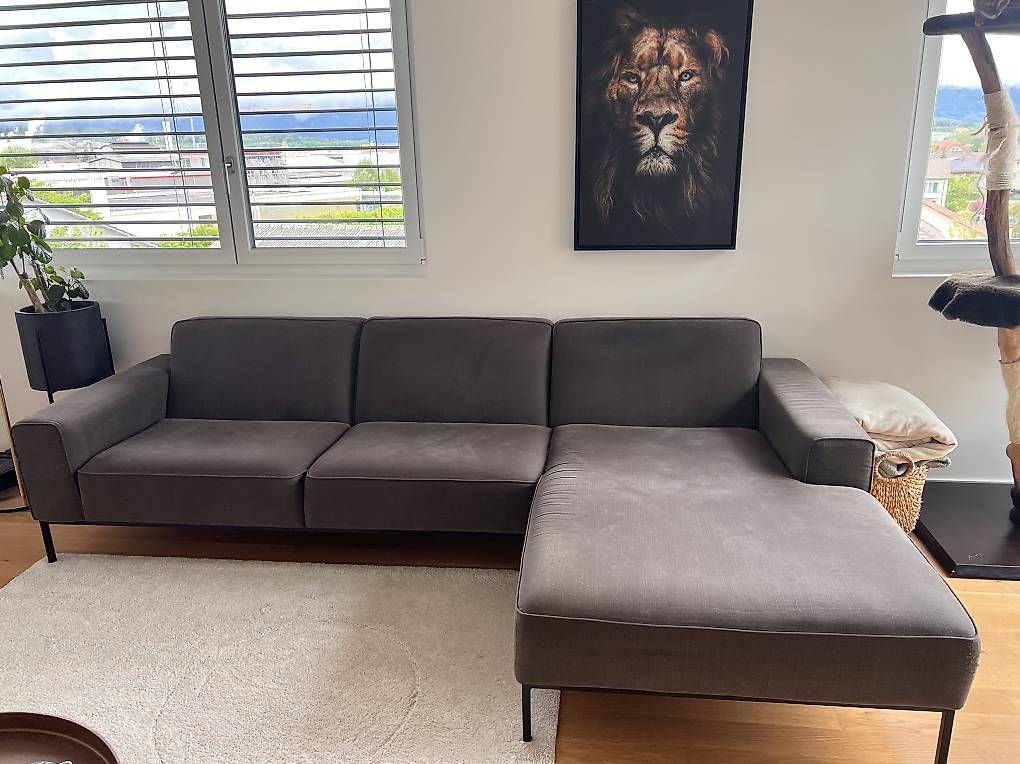 Sofas: Sofa – D'occasion à Gerlafingen par sel_dp6y
