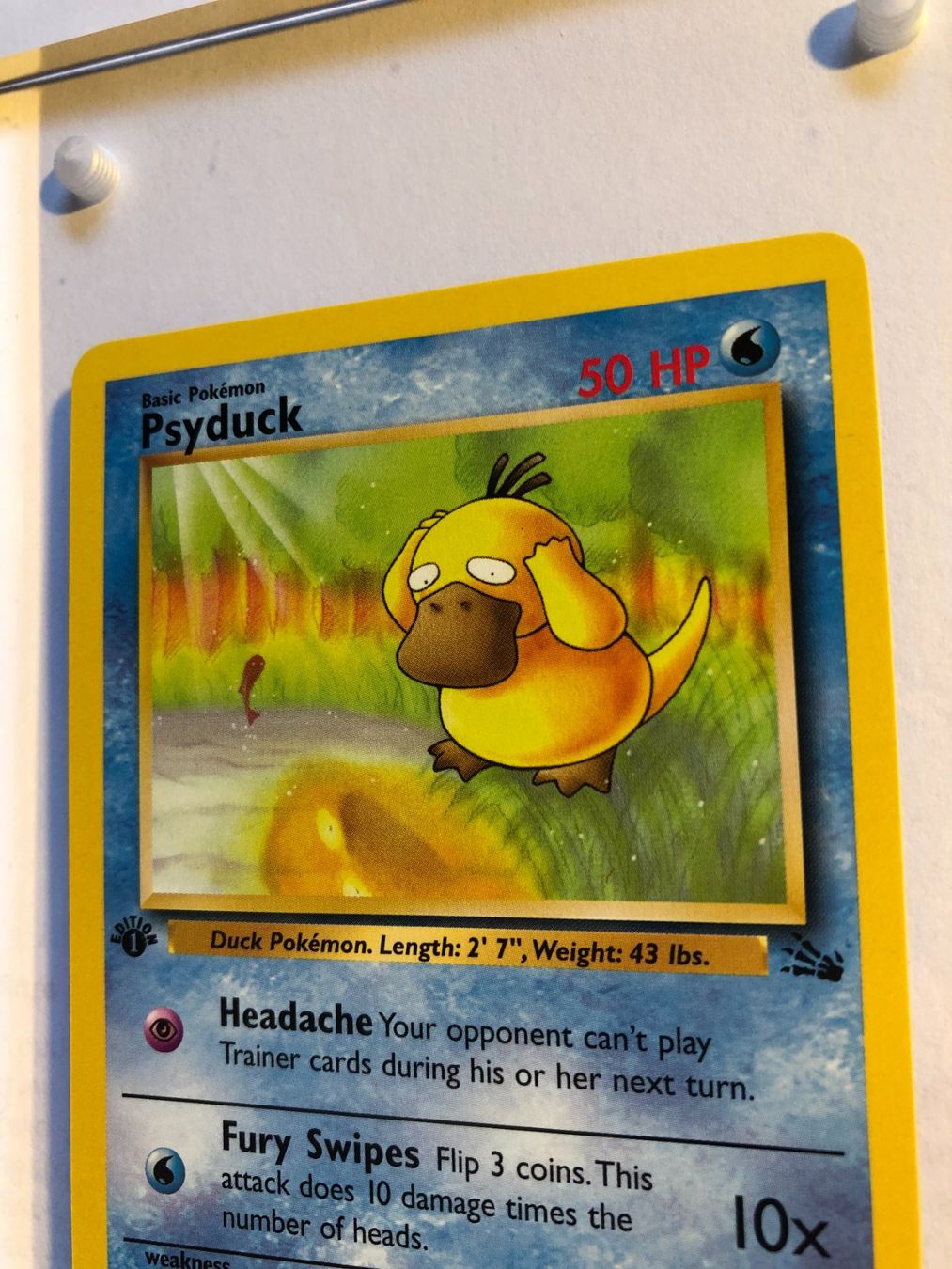 Sammelbilder & Trading cards: Psyduck 1st Fossil - MINT - ab 1.- – Gebraucht aus Giubiasco von dan_pr8b 3