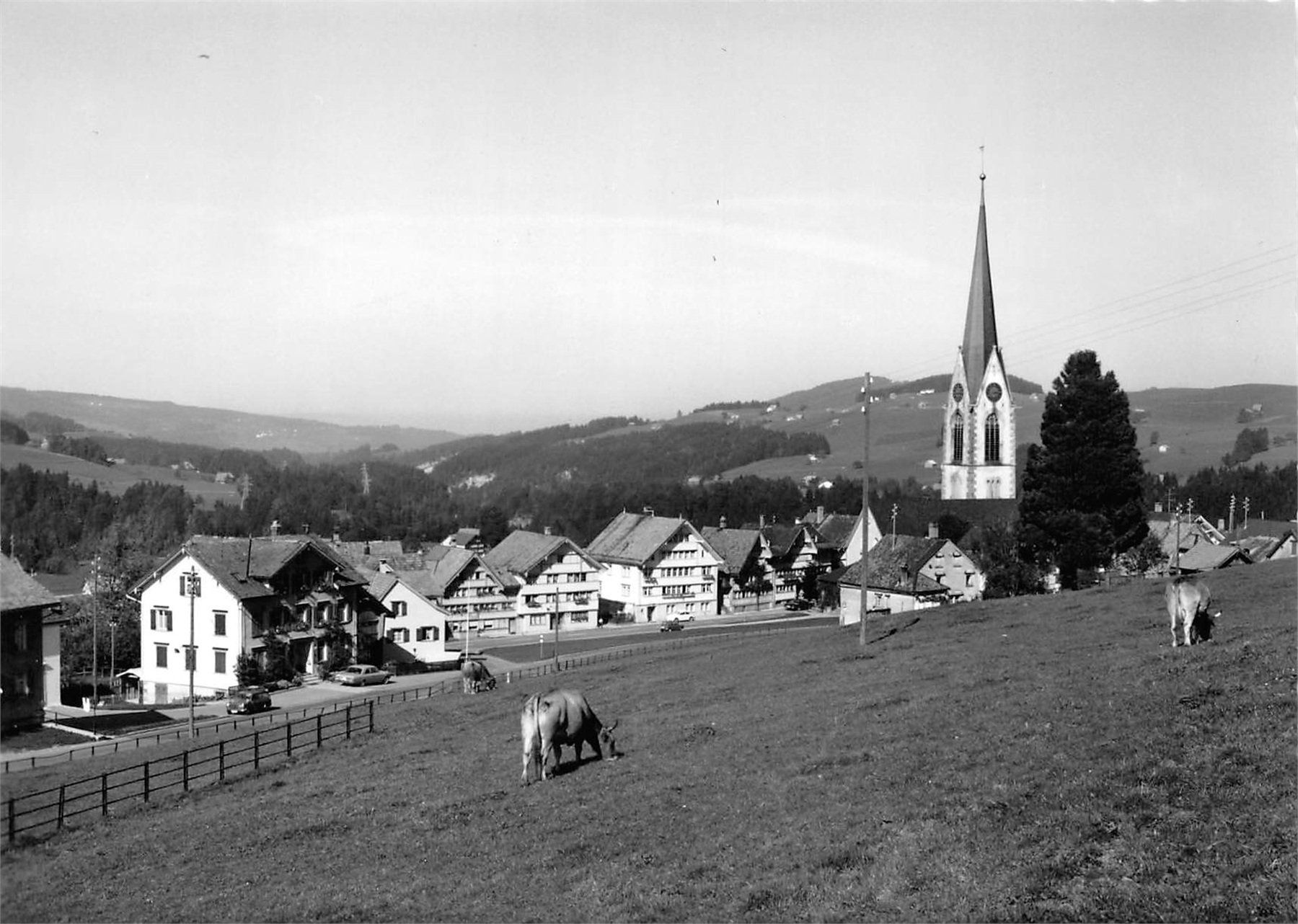 Ansichtskarten: Hundwil, Kühe – Gebraucht aus Ottikon b.Kemptth. von Neptun1974
