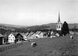 Hundwil, Kühe