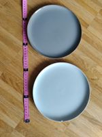 2 Assiettes bleues claires vintage