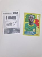 Panini Sticker SEN20