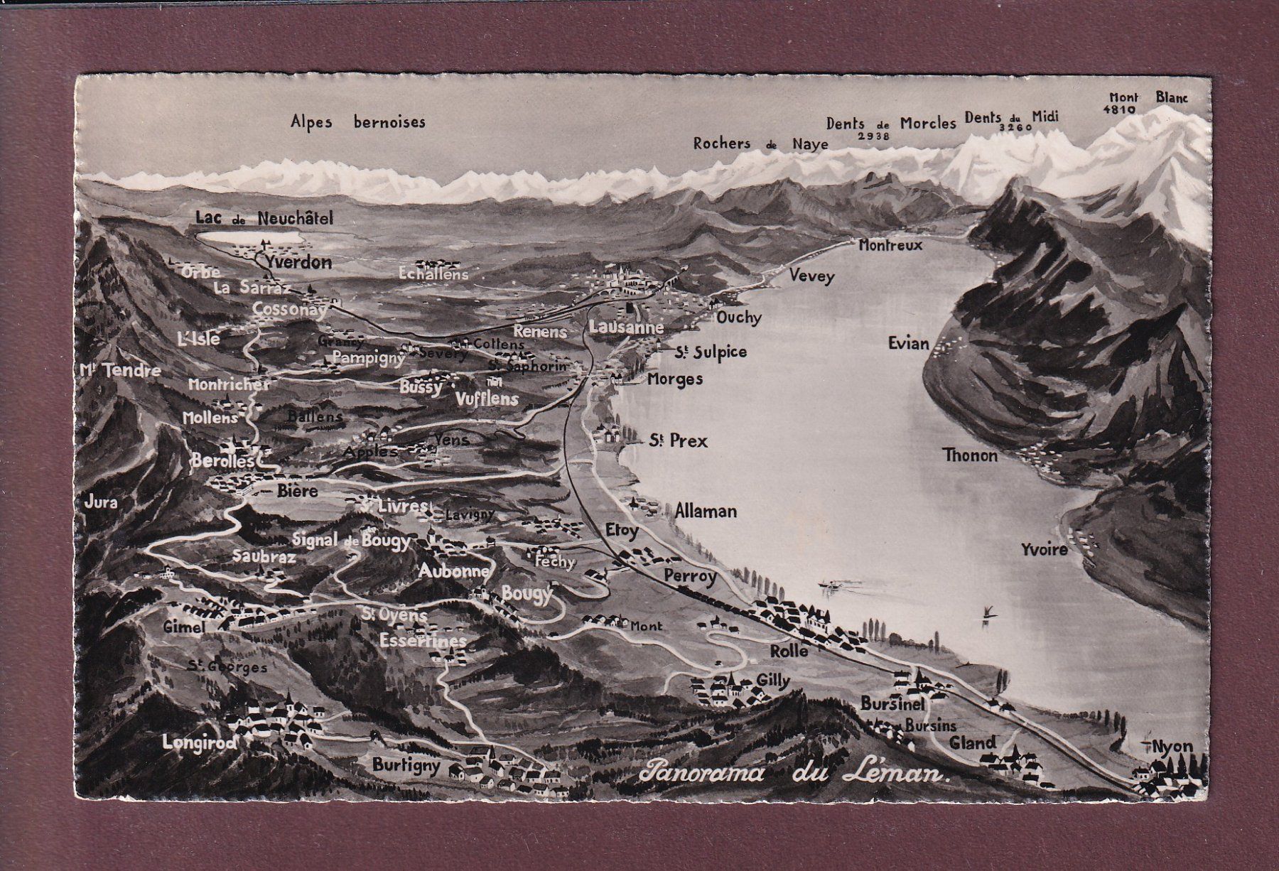 Cartes postales: Panorama du LAC LEMAN – D'occasion à Pully par nicecards