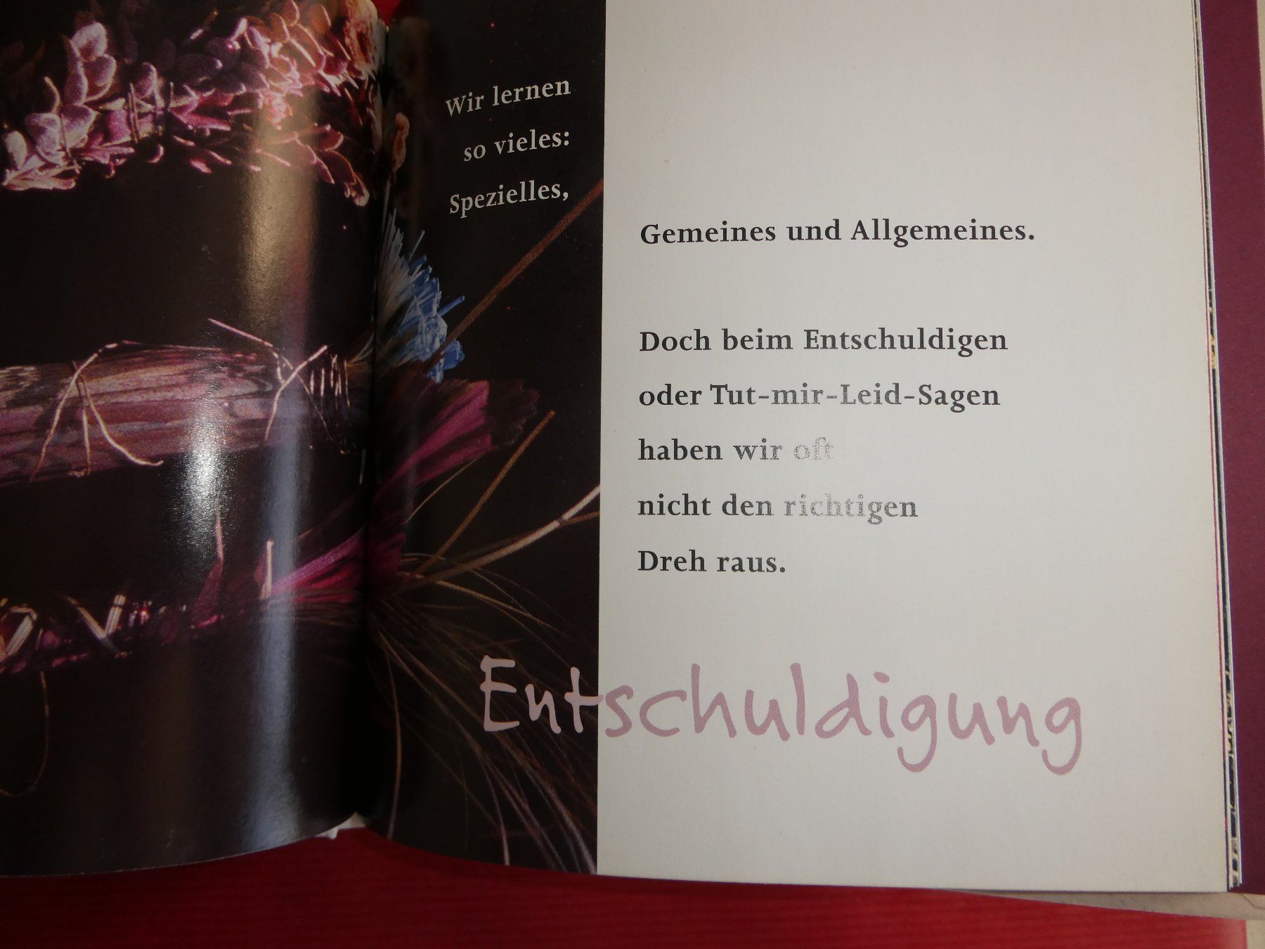 Libri: Büchlein Verzeih mir – Usato da Mels venduto da KOSL 4