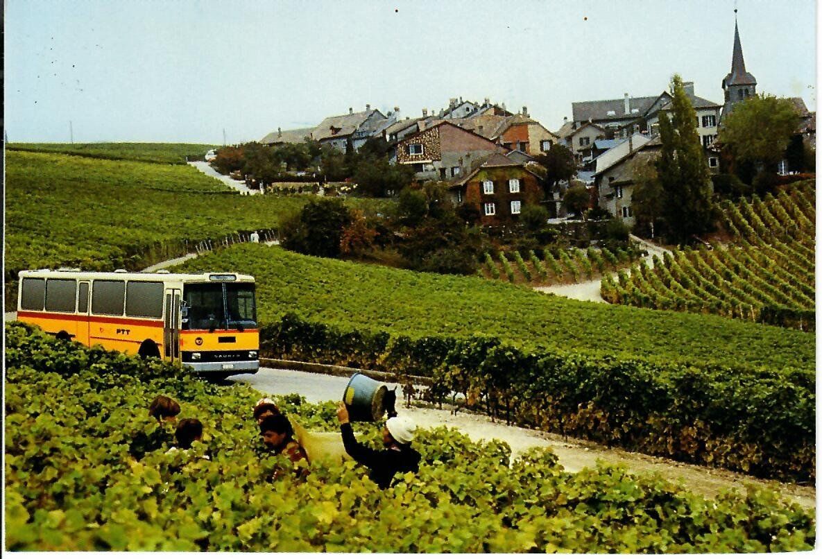 Cartes postales: Féchy – D'occasion à Hochdorf par Ziegel-16