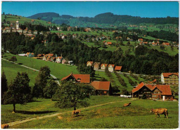 Cartes postales: Heiden – D'occasion à Binningen par Mountainrider