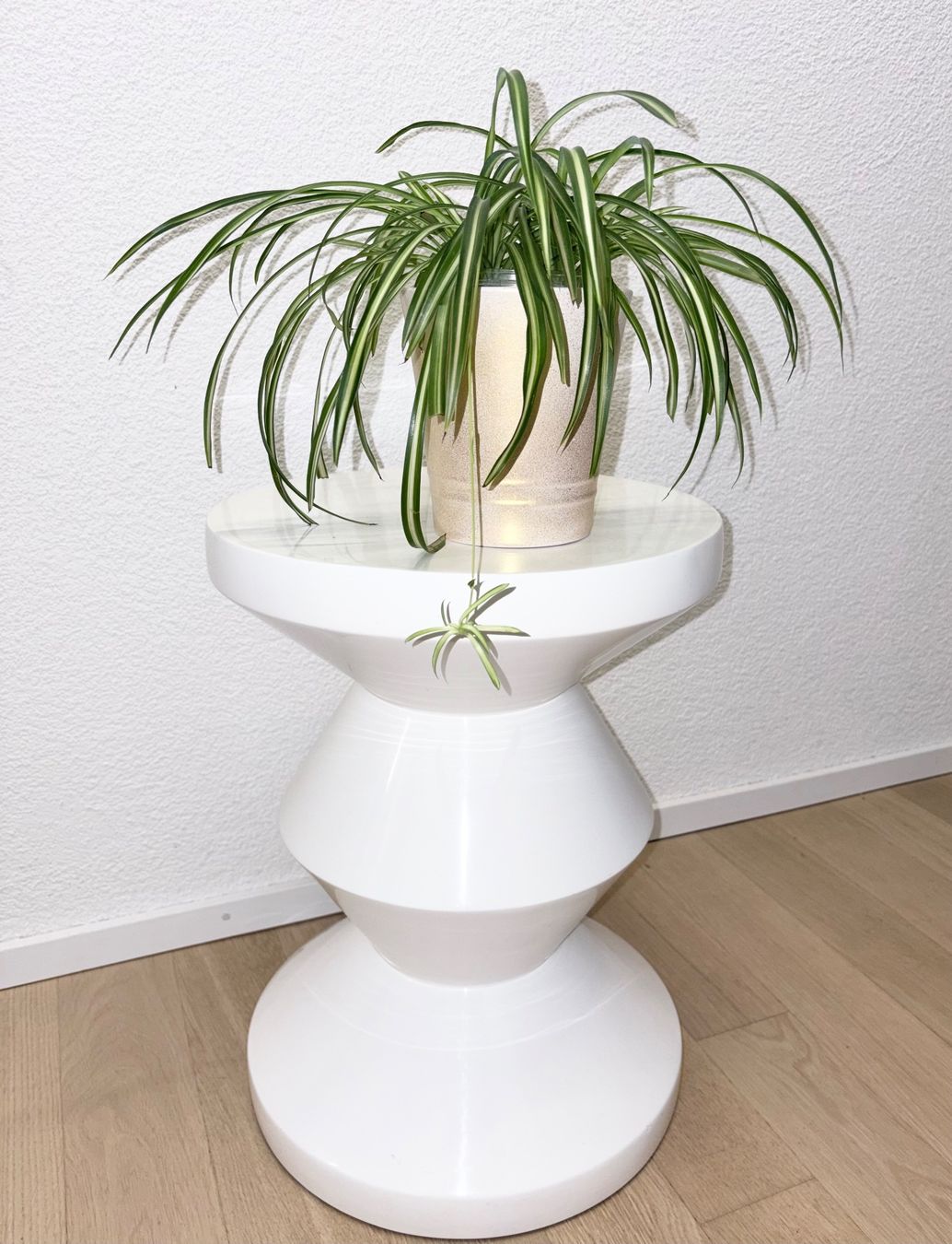 Piante & sementi: Spider plant & ceramic cache pot – Usato da Kilchberg ZH venduto da malibubeach 2