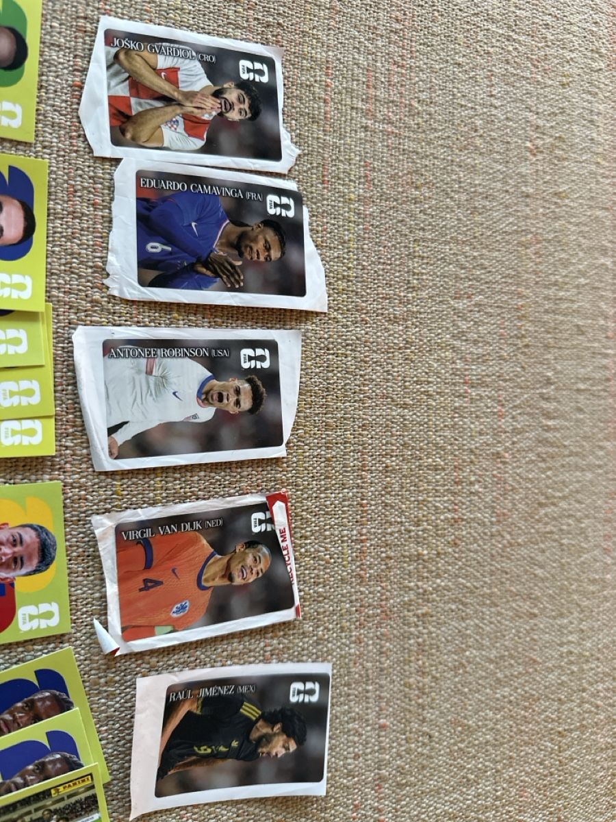 Panini Carte collezionabili: Panini Bilder inkl Cola Bilder – Nuovo (secondo la descrizione) da Biberstein venduto da Anka01 5