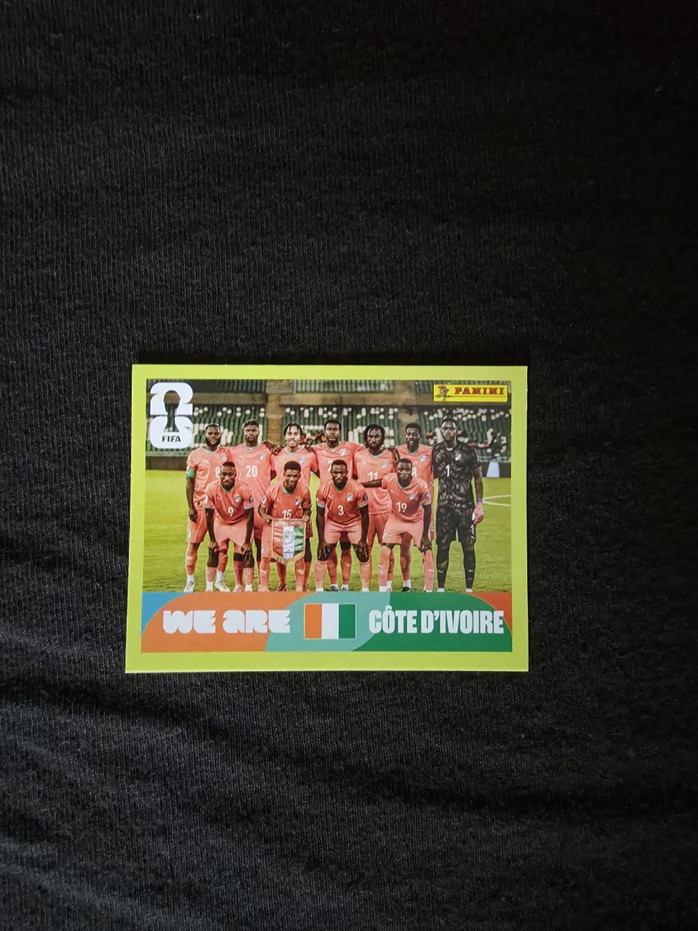 Panini Cartes à collectionner: Panini Team Elfenbeinküste CIV13 – Neuf (Voir description) à Luzern par Joaomassano