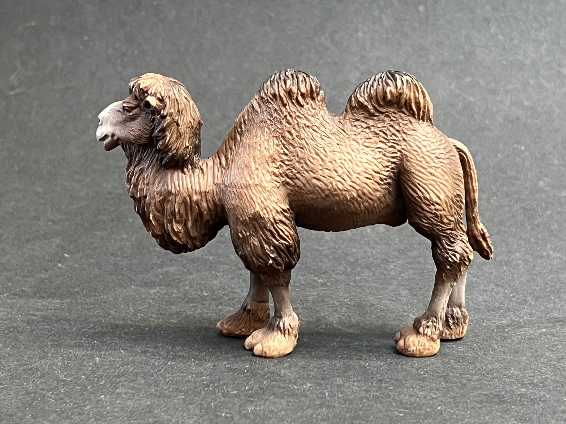 Schleich Statuette: Schleich Trampeltier Kamel Fohlen – Usato da Ennetbaden venduto da mapa05 5